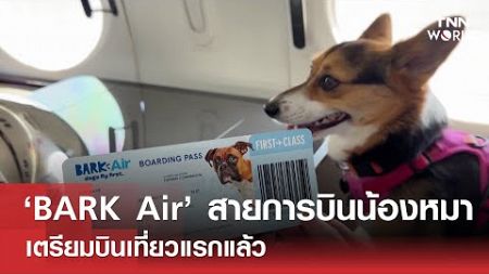 ‘BARK Air’ สายการบินน้องหมามีสไตล์ เตรียมบินเที่ยวแรกแล้ว | TNN WORLD