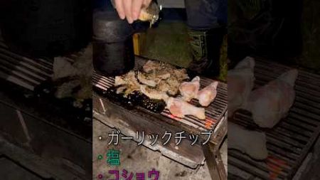 キャンプで手軽な肉料理🍖✨　#キャンプ飯#キャンプ料理#キャンプツーリング