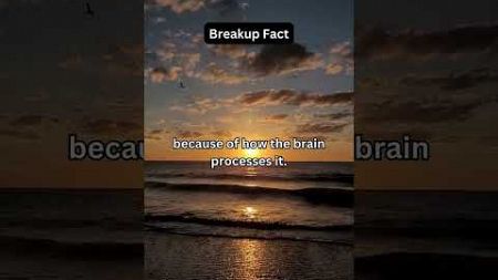 Breakup Fact #viral #psychologie #short #Breakup