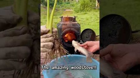 The amazing woodstove #woodstoves #camping #outdoorstove #outdoors #campinglife