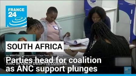 South Africa heads for coalition as ANC support plunges • FRANCE 24 English