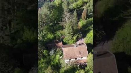 verlassenes Haus im Wald #urbex #lostplace #lostplaces #abandoned #viral #lost #trend #trending