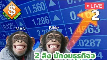 Open ttd 2ลิง นักงมธุรกิจ @Bible_Projuct Test 2