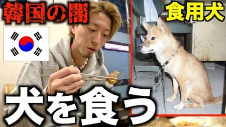 【犬鍋】法律で禁止された韓国の伝統料理”犬の鍋”を食べてみた