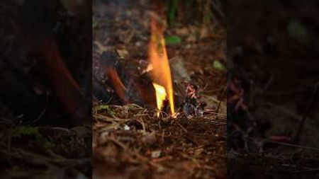 Api Dalam Tanah.! #survival #camping #bushcraft #outdoors
