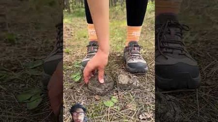 Shock!! GIRL uses cow POOP!#camping #survival #bushcraft #outdoors#lifehack