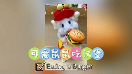Fashionable Hamster Eating a Burger 时尚鼠鼠吃汉堡