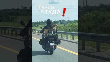 Как правильно путешествовать с собакой на мотоцикле