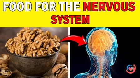 The BEST 9 Foods for Revitalizing Nerve Wellness | Health Secrets