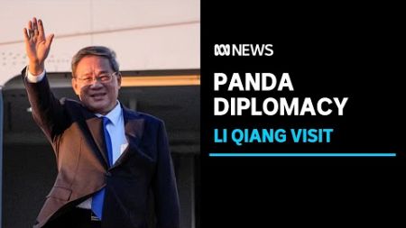 China&#39;s premier announces two new giant pandas bound for Adelaide Zoo | ABC News