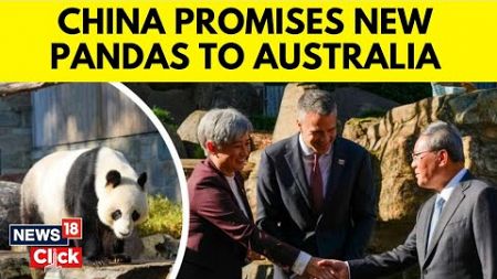 China Promises New &#39;Adorable&#39; Pandas To Replace Australia&#39;s Popular Pair | Panda Diplomacy | G18V
