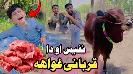 Nafees aw da Qurbani Gwaha | Pashto Funny Video | Pashto Drama 2024