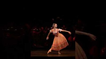 #芭蕾舞1：活泼、古典、是用音乐、舞蹈手法来表演戏剧情节的舞。# 纽约 #dance