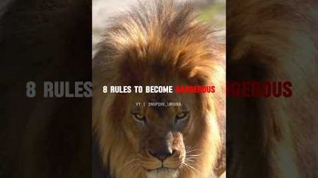 8 rules to become dangerous🔥 | #motivation #entrepreneur #sigmarule #shorts #shortsfeed