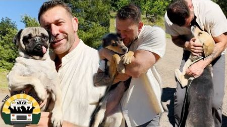 Back to business...17 more dogs saved from euthanasia | The Asher House