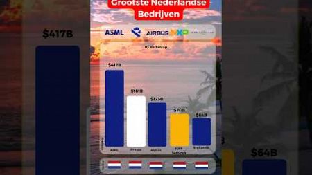 Grootste Nederlandse bedrijven! #beleggen #investeren #aandelen #bedrijf