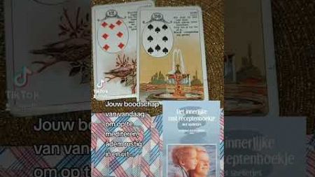 Wellnessradio meditatie met kaarten rustig reizen met Madame Lenormand kaarten