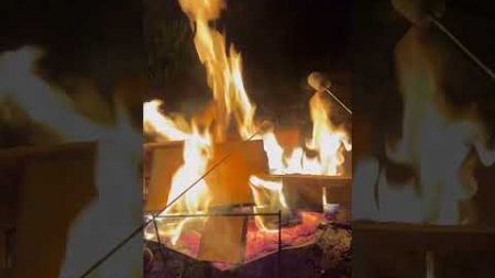 #焚き火 #マシュマロ #BBQ #キャンプ飯 #ビーチ #ピコグリル 398 #Picogrill398 #PG398