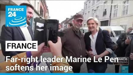 France&#39;s far-right leader Marine Le Pen softens her image ahead of legislative elections