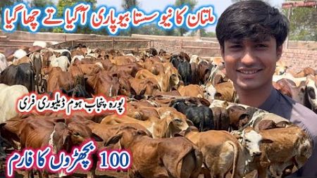 Big offers! Multani Farmers | Huge Parofitable Business Bachra Farming in Pakistan