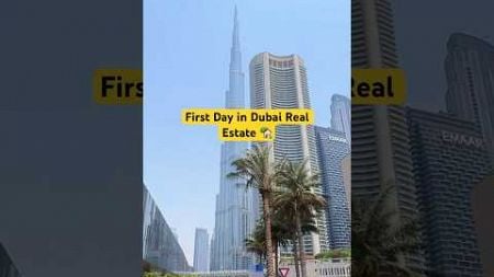 First Day in Dubai Real Estate #dubai #realestate #dubaijobseekers #dubailife