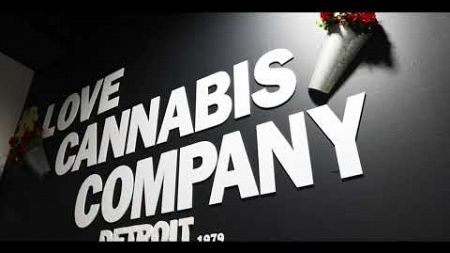 BuzzWire Media - Love Cannabis Co. Brand Video Detroit, MI Marketing | Website Design | SEO | Photos