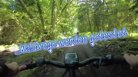 E Bike Tour 23.06.2024 - Soest und Umgebung - ca 3 Stunden Fahrt - Wald Wiese Möhnesee und mehr
