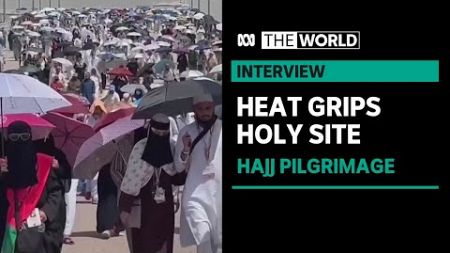 ‘Unprecedented’ heat deaths after Hajj pilgrimage sees 50-degree days | The World