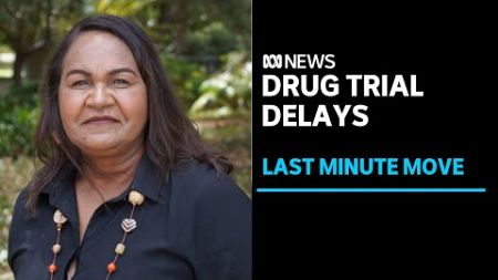 Former Greens candidate Donna Nelson&#39;s trial in Japan on drug importation charges delayed | ABC News