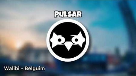 PULSAR Music/Muziek | Walibi Belguim [NachtArend]