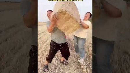 Help mother in law deliver straw bags!#funny #胖哥快乐生活