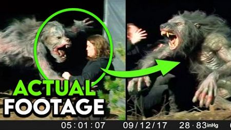 Most Horrifying Camping Experiences Caught on Trail Cam