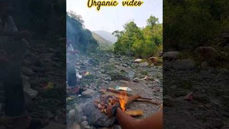 sathy haru sanga ramailo gardai|@khadkag5985 #camping #riverside #explore #cookingoutdoor