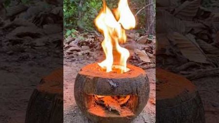 Survival Skills: Coconut Fire #survival #outdoors #bushcraft #shorts #camping