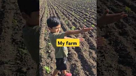 A day at my farm #farming #youtubeshorts #shorts #agriculture #environment