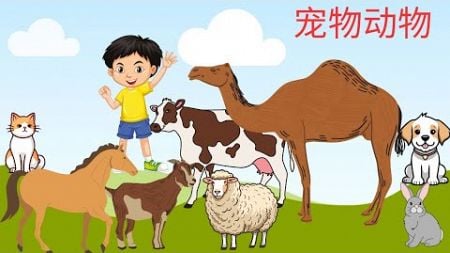 宠物物 | 家畜 | 为儿童学物名声