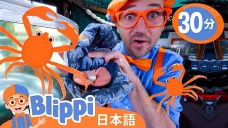 海の生きもの探検隊！ | ブリッピ 日本語 - 幼児向け教育動画 Blippi