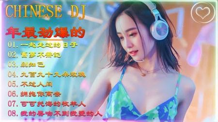Chinese Dj Remix 2024 👍《最佳中国 DJ 音乐》【爱上你是一个错 ♪ 拥抱你离去 ♪ 曾經被愛 ♪ 公蝦米...】 2024最火歌曲DJ Remix 抖音版 ,