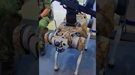 中国军事智能技术装备博览会现场展出的机器狗A robot dog on display at the China Expo