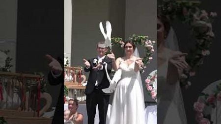 Deutsch russische Hochzeit – Empfang des Brautpaares mit Tauben