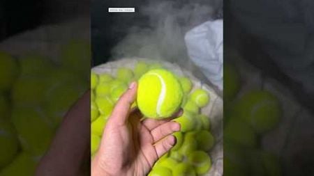 Live Tennis Balls Manufacturing | Rubber Balls Making | Cricket Balls Making Process