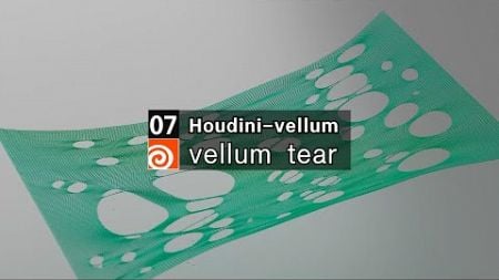 07.Houdini vellum tear --Eagle Teach Houdini Case 007
