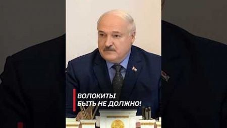 Лукашенко: Волокиты быть не должно! #shorts #лукашенко #беларусь #новости #экономика #политика
