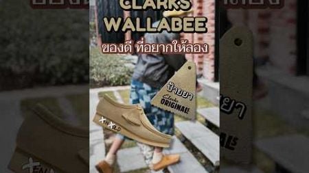 CLARKS WALLABEE ของดี ที่อยากให้ลอง #clarks #แต่งตัว #แฟชั่น #sneaker #sneakerthailand