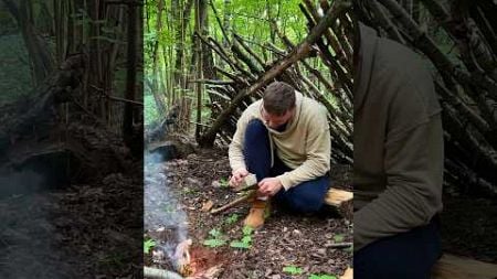 One day in the forest🌳 #bushcraft #survival #camping #forest