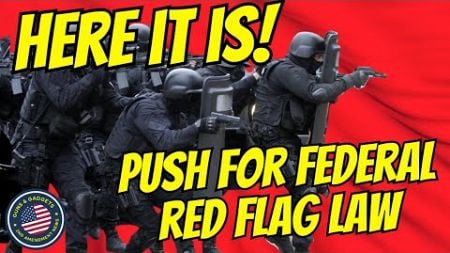 HERE IT IS! The Push For A Federal Red Flag Law, Thanks To The Supreme Court