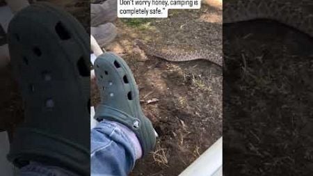 Why My Wife Will Never Trust Me About Camping Again#snakes #camping #shorts.