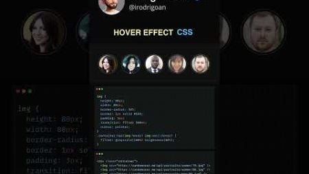 Hover Effect / Fade Siblings CSS #css #html #javascript #programação #web #webdesign #code #webdev