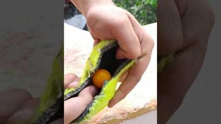 Shocked !! What is inside a Tennis Ball #cricketball #shorts