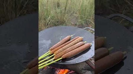 amazing cooking video #eating #camping #life #cooking #bushcraft #village #outdoorcooking #campfire